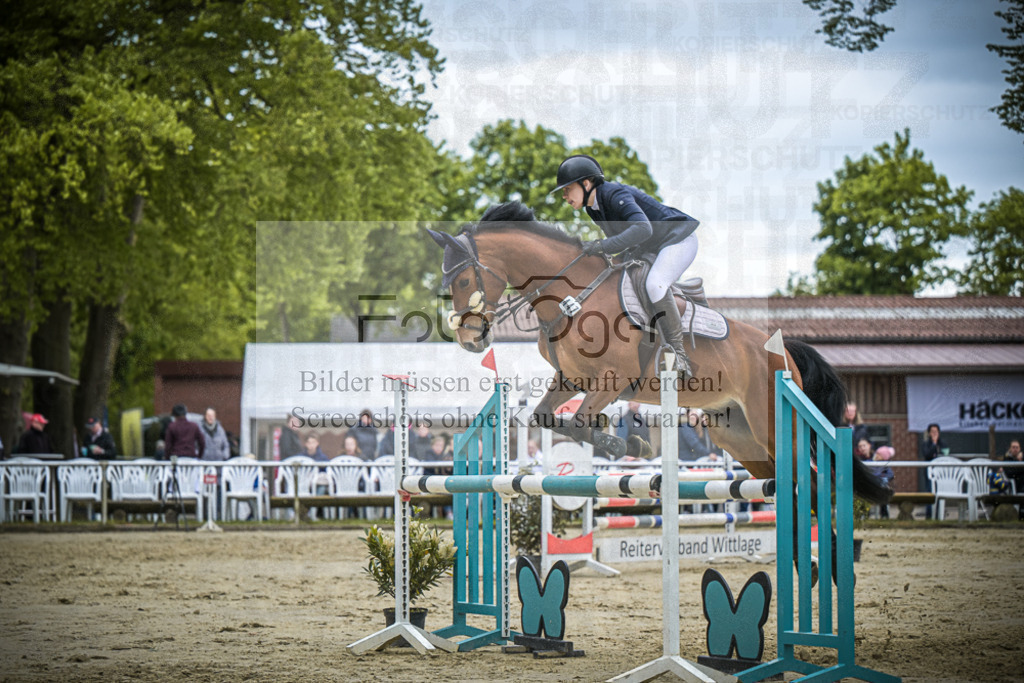 DOS_6533 | Entdecke hochwertige Reitturnierfotos von Foto Oger. Professionell, emotional und authentisch – jetzt Lieblingsmomente im Shop bestellen.Deutschlandweite Turnierfotografie. - Realisiert mit Pictrs.com