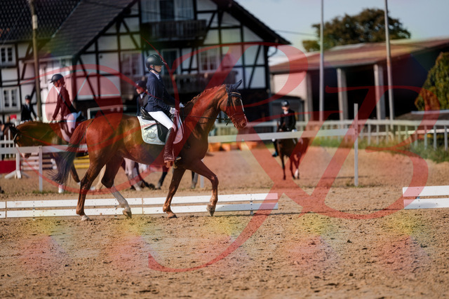 2026_10_03_Siefer-Hof_123435_Z63_52847484 | Professionelle Reitsport-, Turnier- und Eventfotografie von Robert Broda. Galerien mit ausgewählten und bearbeiteten Bildern direkt online ansehen und bestellen.