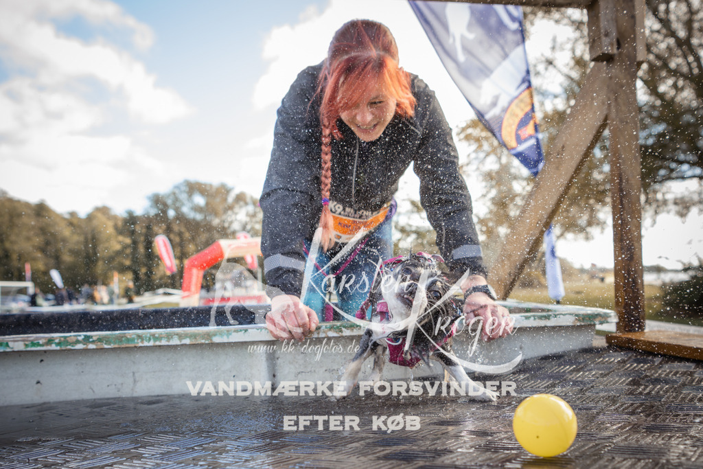 1317_ZZ90038-2 | kk-dogfotos