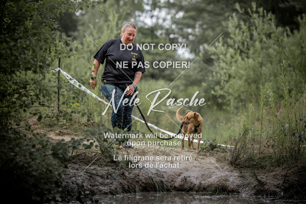nelerasche_so0800-0930_95 | nelerasche