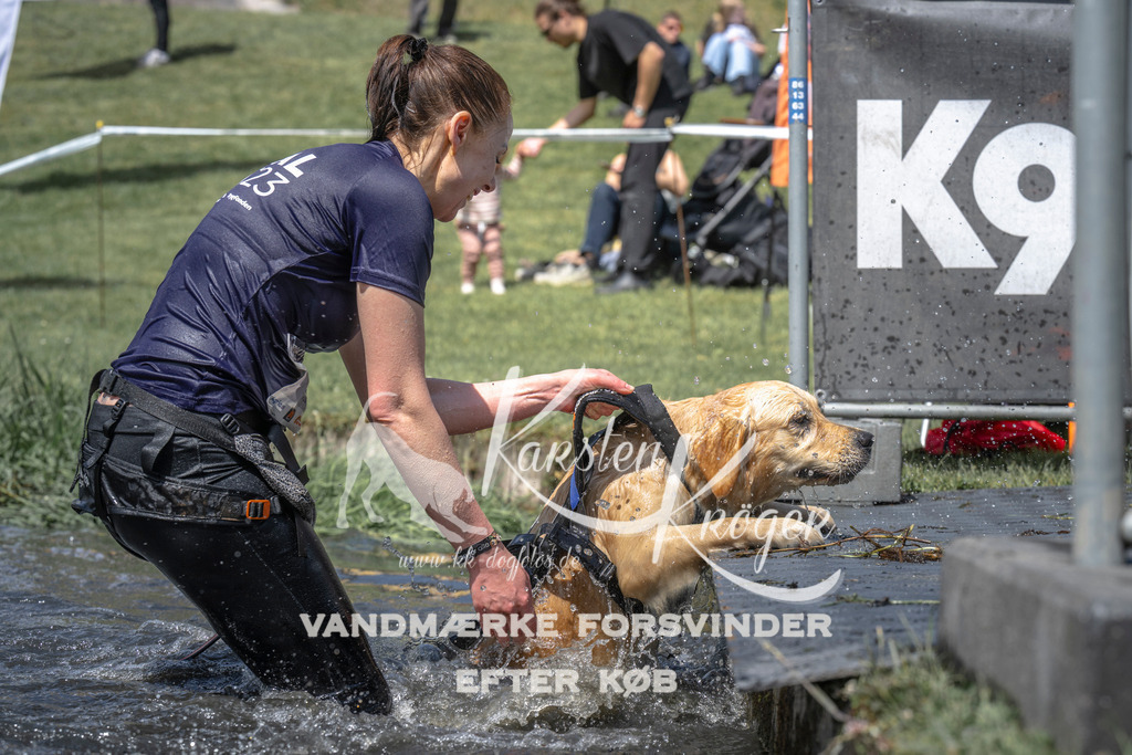 1242_ZZ98675 | kk-dogfotos