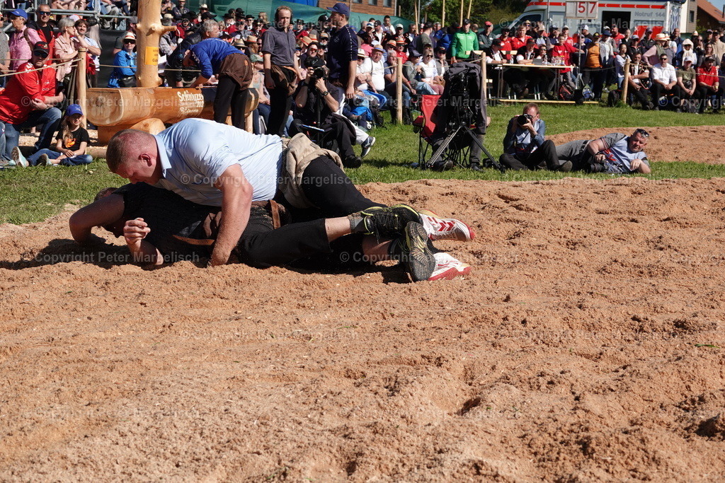 DSC00899 | Schwingen - Realisiert mit Pictrs.com