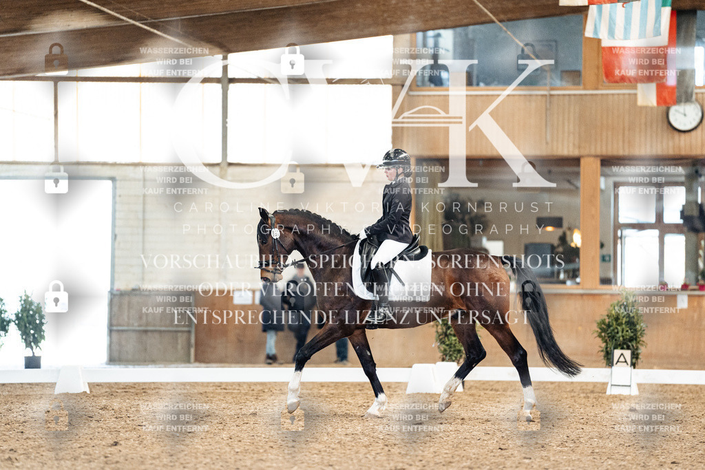 CK909855 | Turnierfotografie Pferdefotografie Trier Rheinland-Pfalz Pferdesport Reitsport Tierfotografie Sportfotografie Pferdevideo Pferdevideografie Equestrianvideography equestrianphotography  - Realisiert mit Pictrs.com