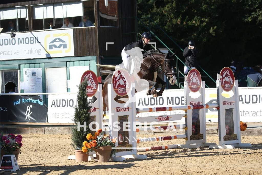DL2Q1803 | Willkommen bei Brunnmayr - Design & Fotografie – Ihrem Spezialisten für Reitturniere und Pferdeveranstaltungen in Oberösterreich, Salzburg und Bayern! Seit über 17 Jahren sind wir leidenschaftlich dabei.