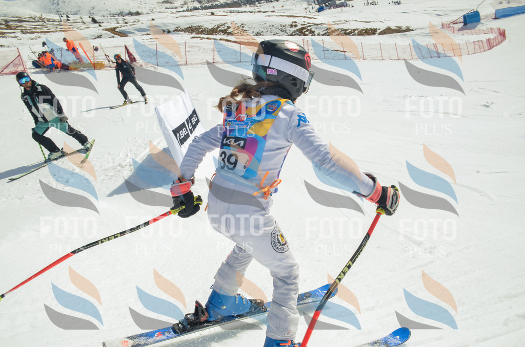 _ELE5011 | holidayphoto