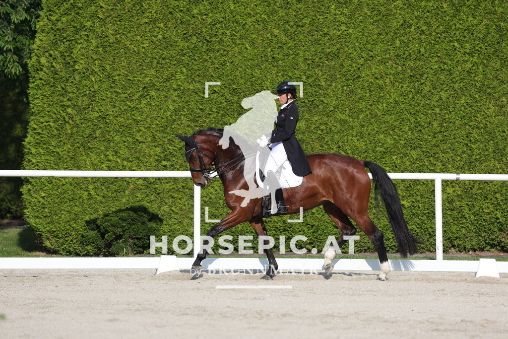 0P6A3895 | Willkommen bei Brunnmayr - Design & Fotografie – Ihrem Spezialisten für Reitturniere und Pferdeveranstaltungen in Oberösterreich, Salzburg und Bayern! Seit über 17 Jahren sind wir leidenschaftlich dabei.