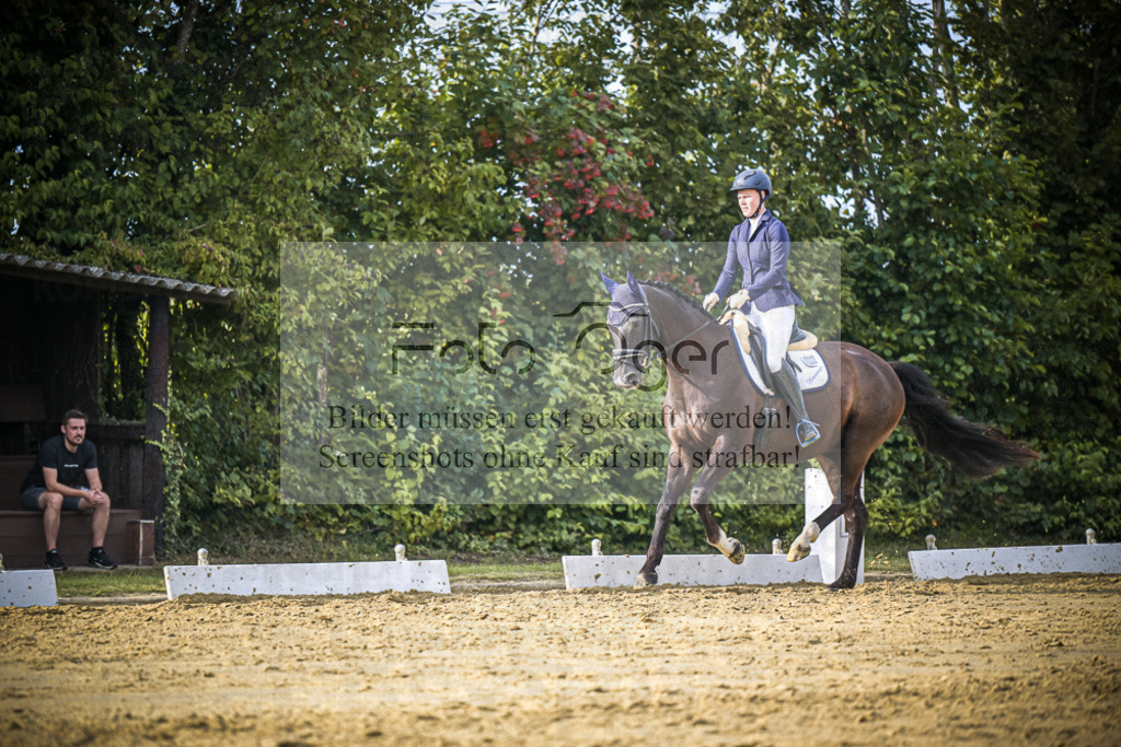 DOS_0499 | Entdecke hochwertige Reitturnierfotos von Foto Oger. Professionell, emotional und authentisch – jetzt Lieblingsmomente im Shop bestellen.Deutschlandweite Turnierfotografie. - Realisiert mit Pictrs.com