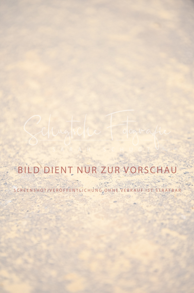 Schugtsche-Aluta25-49.Dressurpferdeprf.A-120 | Schugtsche Fotografie - Realisiert mit Pictrs.com