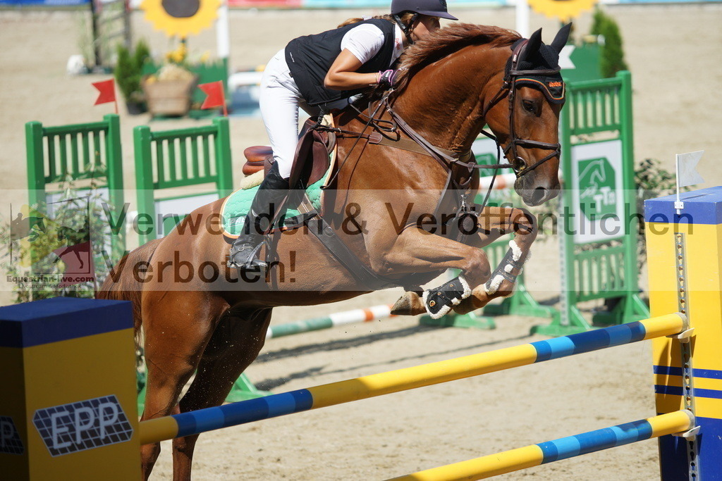 DSC05839 | equestrian-live-com
