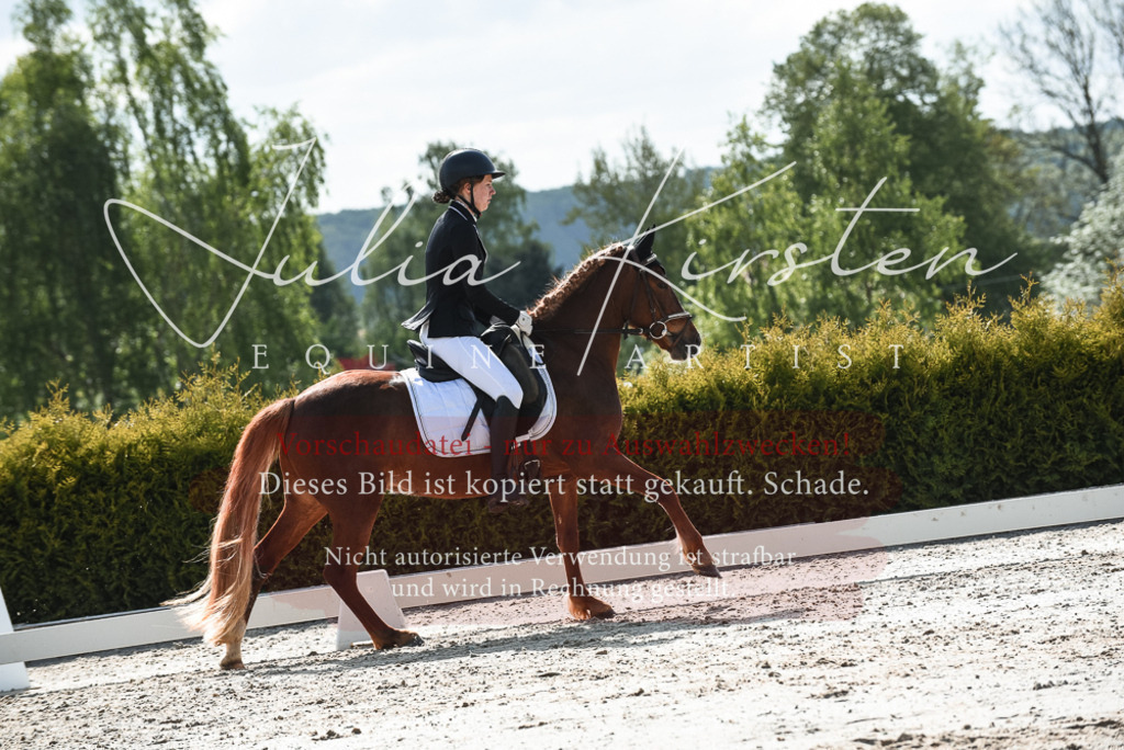 20230518_JK-Röhrsdorf-09-1558 | Pferde- und Turnierfotografie in Westsachsen. Pferdeportraits, Auftragszeichnungen und intuitive Kunst.