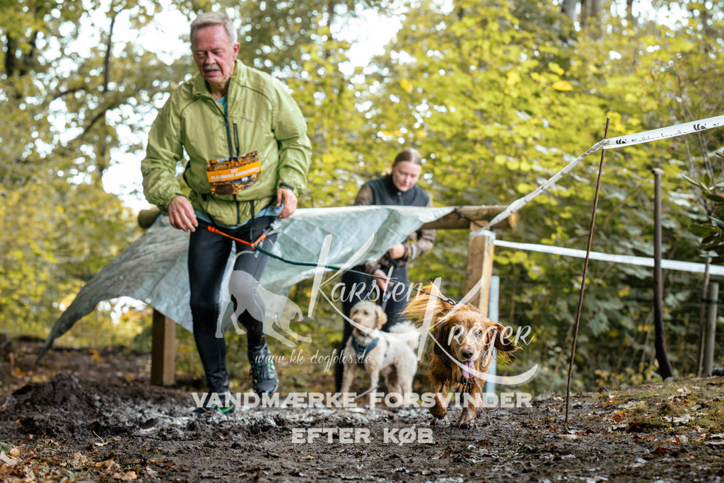 1419DZ6_1589Z6 | kk-dogfotos
