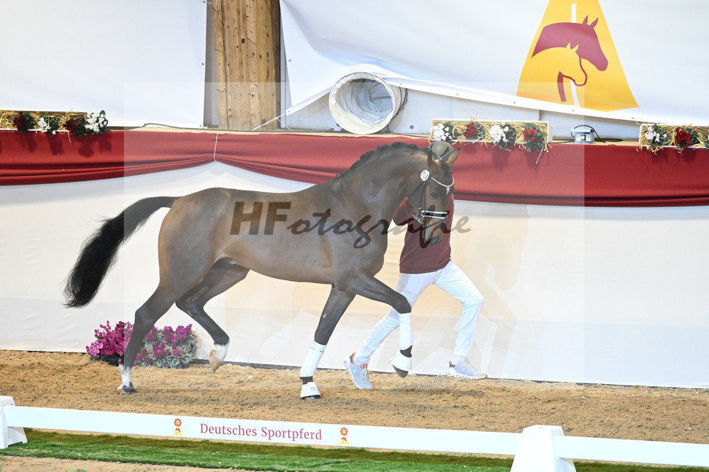 Kat-Nr. 53 For Dance_Haefner_1230134 | hf-fotografie - Realisiert mit Pictrs.com