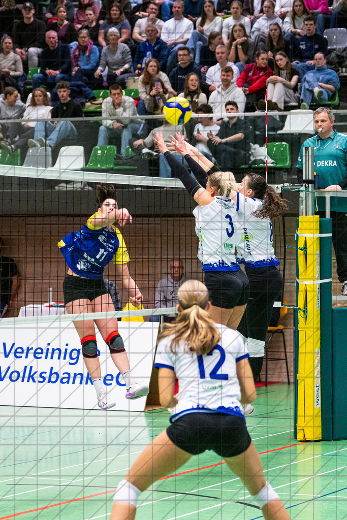 2. VBLF Nord 25/26 | Spiel 4072 | VC Osnabrück vs. Schweriner SC II | //  17.01.26: 2. VBLF Nord 25/26 | Spiel 4072 | VC Osnabrück vs. Schweriner SC II / Osnabrück / Deutschland  //   CREDIT:www.bullenfotos.de, Martin König, Hörner Weg 40, D-49078 Osnabrück, +4917663732967 // Nutzung und Weitergabe nur zu den vereinbarten Zwecken. Presseanfragen an Ersteller. Alle Rechte beim Ersteller. Honorierung nach MFM. - Realisiert mit Pictrs.com
