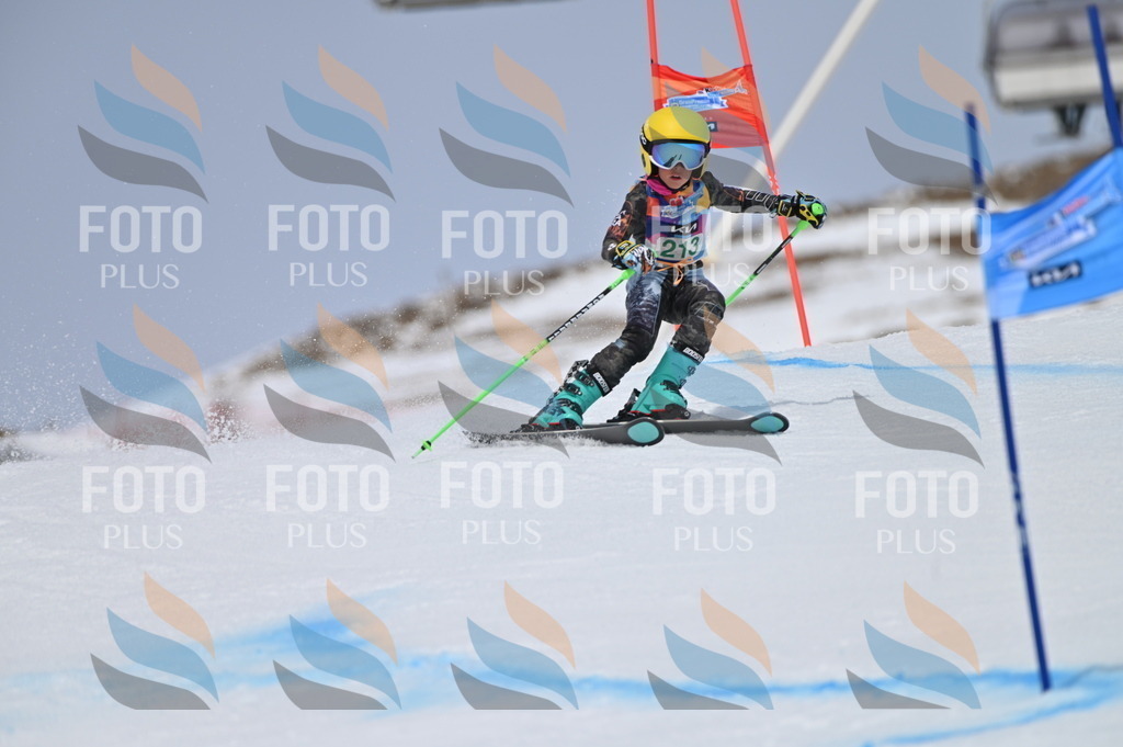 BGV_4130 | holidayphoto