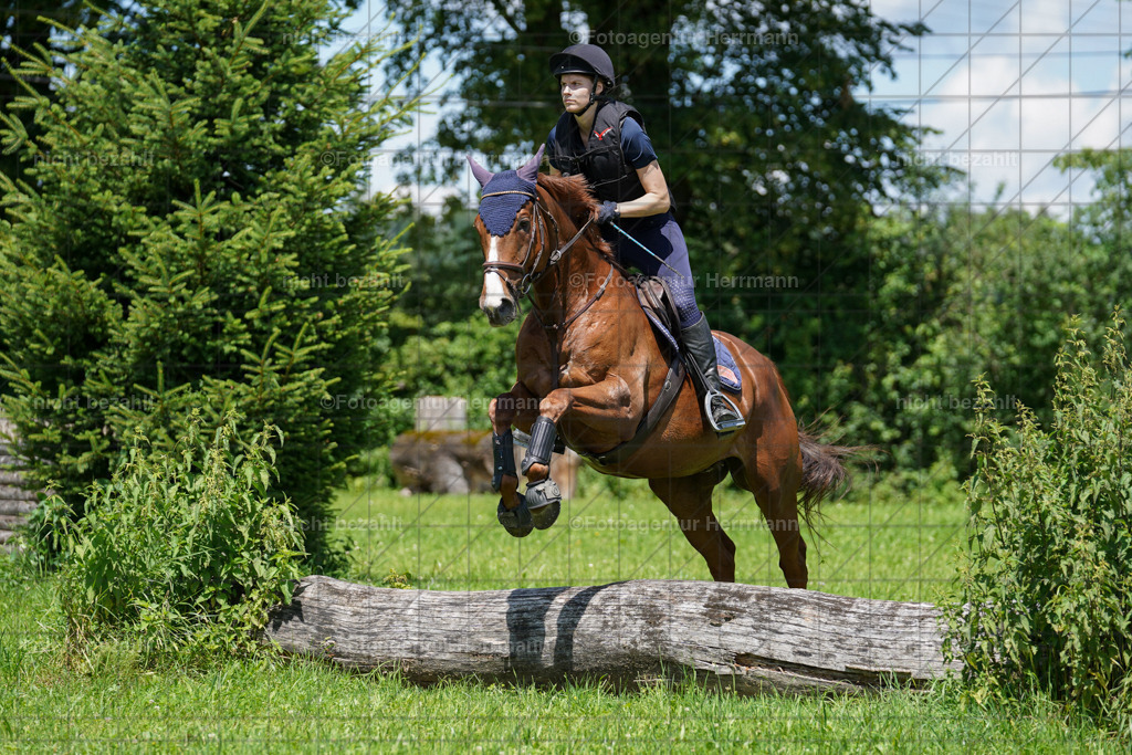 20240622-FAH06920 | Turnierfotografen Bayern, Reitsportbilder aus dem Geländekurs mit Felix Etzel auf dem Gut Waitzacker 2024