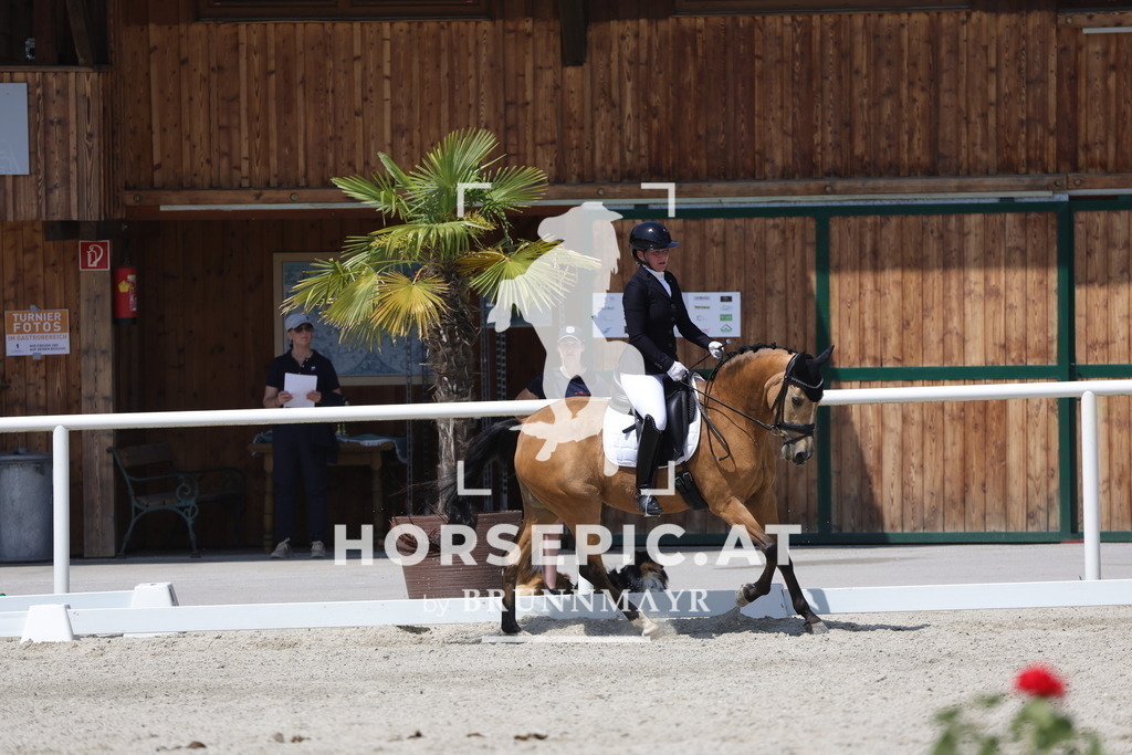 0P6A5122 | Willkommen bei Brunnmayr - Design & Fotografie – Ihrem Spezialisten für Reitturniere und Pferdeveranstaltungen in Oberösterreich, Salzburg und Bayern! Seit über 17 Jahren sind wir leidenschaftlich dabei.