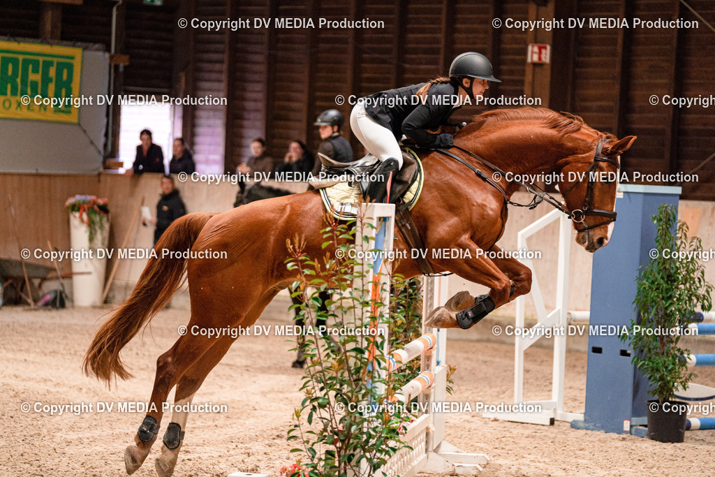 Springen Tag 2-500 | dv-media-shop - Realisiert mit Pictrs.com