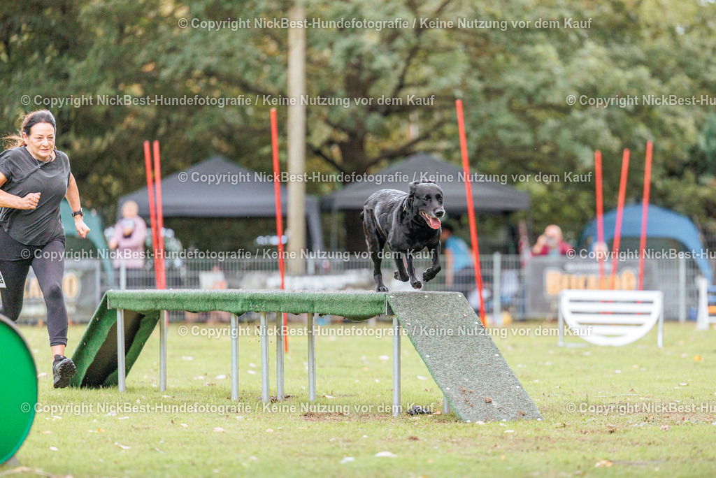 THS-HSV-Blumenthal-2026-Nickbest-Hundefotografie-4064 | Dein Hund! Dein Moment! Deine Erinnerungen! Hundefotografie in Bremen Blumenthal. Ich fange die besonderen Momente deines Vierbeiners ein – ob Indoor mit Blitzanlage oder in der freien Natur. Sicher dir dein Moment und dein Termin für eure Erinnerungen.