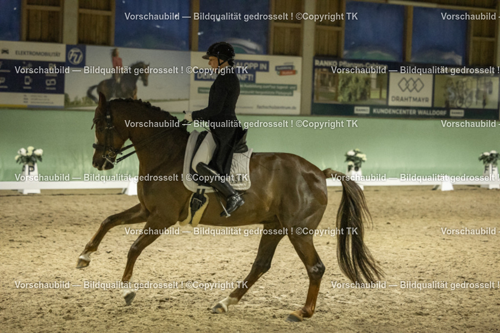 _D5A7550 | Emotionale Pferde- & People-Fotografie rund um Heidelberg, Leimen & Umgebung. Natürliche Fotos von Pferd, Mensch & Familie. Jetzt Termin sichern!