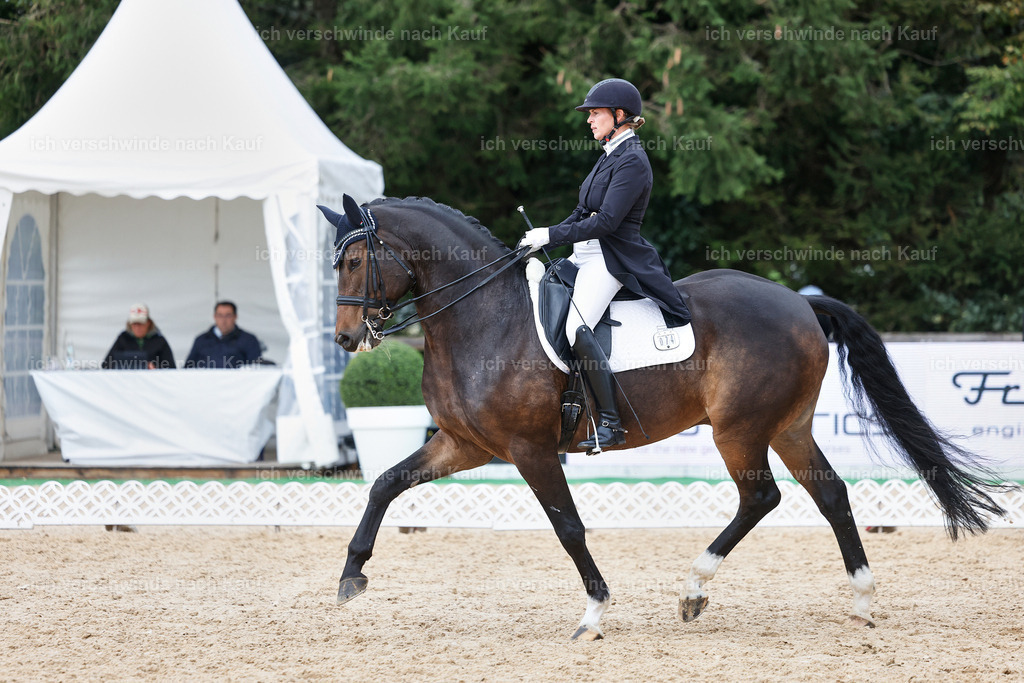 12-074-DRESSUR  S___  -StoibPH-5351 | working equitationturnier fotograf videograf stoibphotography marixx film working equitation deutschland reitsport turnierfotografie eventfotografie equestrian events