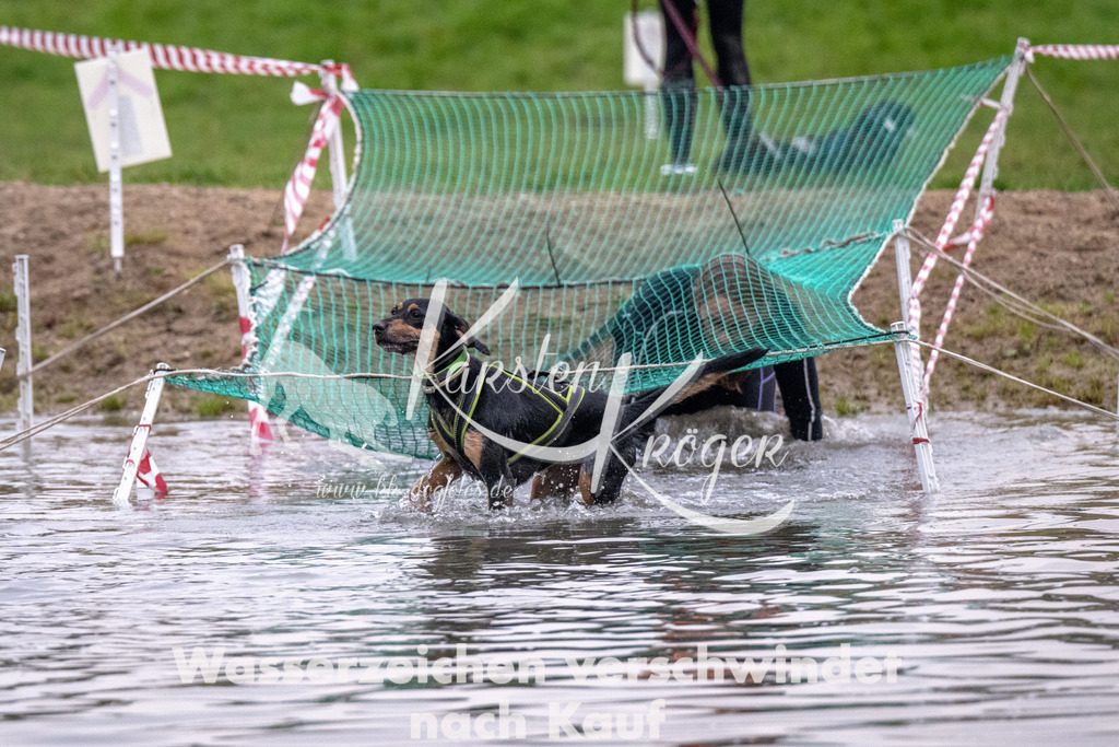 0819_ZZ90794 | kk-dogfotos