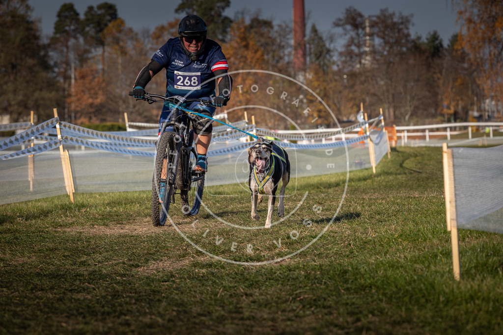 CaniXpix_0L8A8039 | Hundefotografie, Tierfotograf, Pfotenfotografie, Fotoshooting Hund, Hunde Portrait, Hundesport, Hundeportraits, Heideshooting, Hunde, Sportfotograf, Hundefotograf, Turnierhundsport, THS,  - Realisiert mit Pictrs.com
