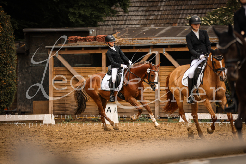 DoDrE00422 | Leoni Ertmer Photography - Realisiert mit Pictrs.com