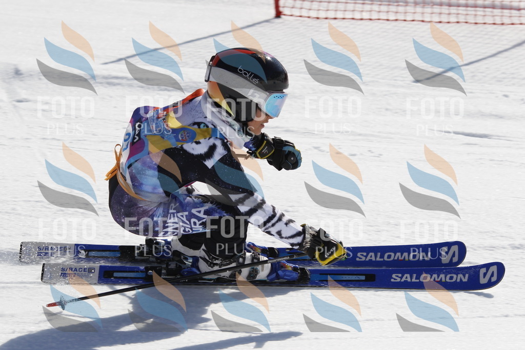 _U3G9181 | holidayphoto