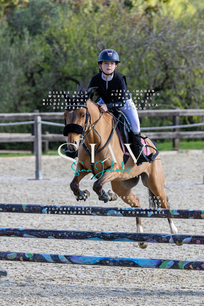 IMG_0488 | s-jay-photography - Realisiert mit Pictrs.com