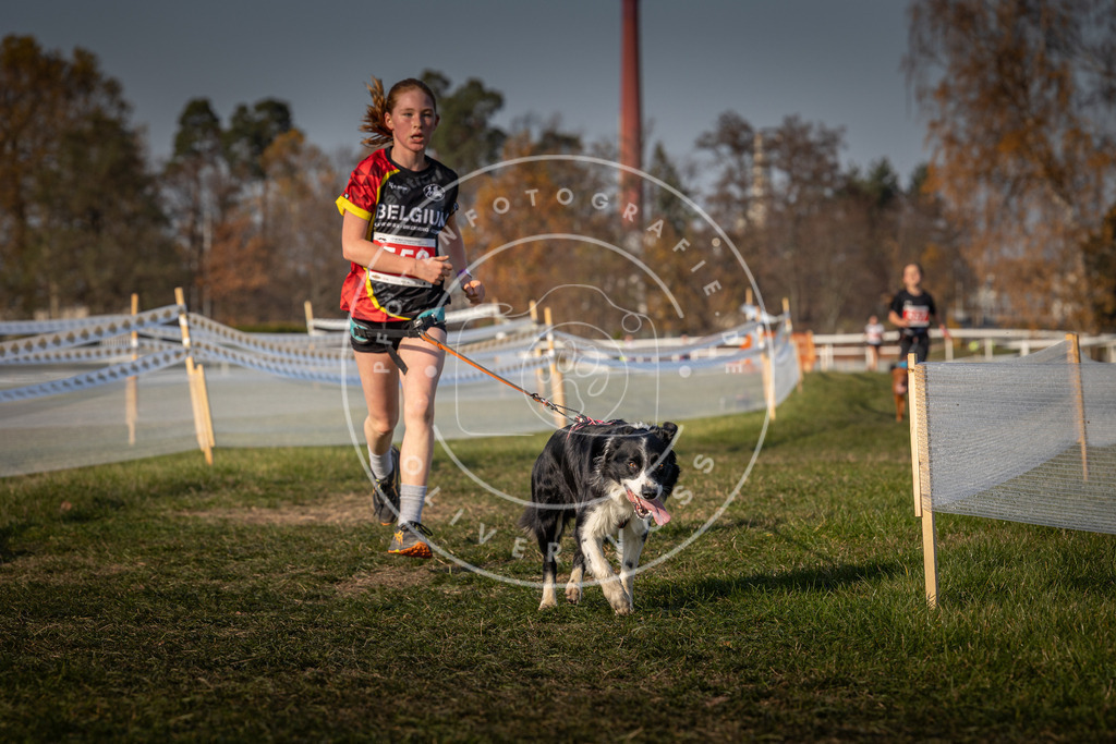 CaniXpix_0L8A9297 | Hundefotografie, Tierfotograf, Pfotenfotografie, Fotoshooting Hund, Hunde Portrait, Hundesport, Hundeportraits, Heideshooting, Hunde, Sportfotograf, Hundefotograf, Turnierhundsport, THS,  - Realisiert mit Pictrs.com