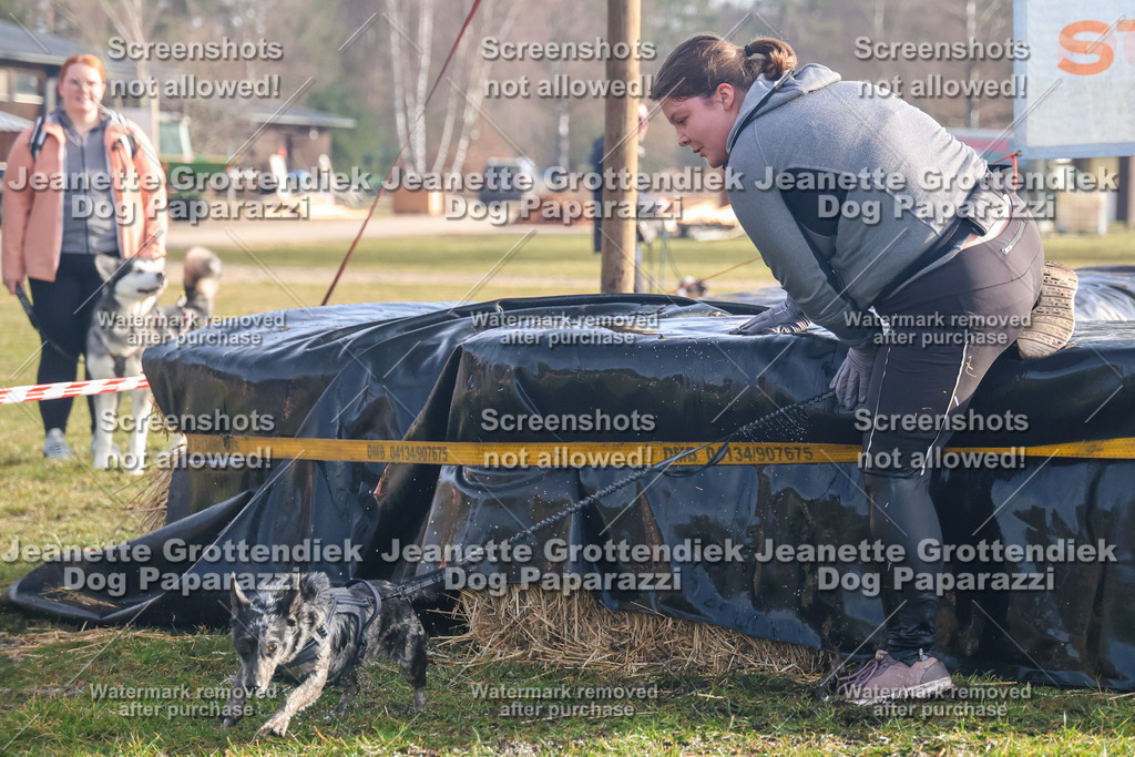 Dog Paparazzi - Strongdog North Mrz26-233 | Dog Paparazzi Jeanette Grottendiek Fotografie & Videografie - Realisiert mit Pictrs.com
