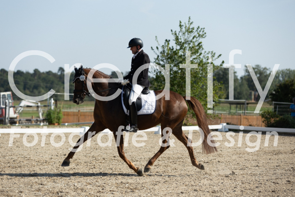 IMG_5799 | Creatify Fotografie