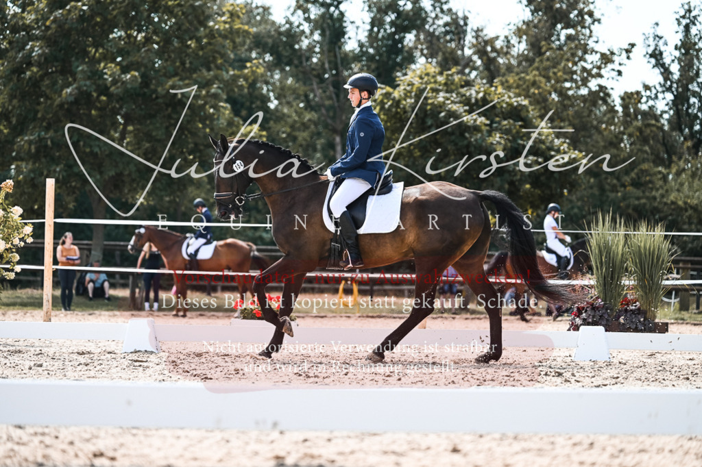 DSC_5444 | Pferde- und Turnierfotografie in Westsachsen. Pferdeportraits, Auftragszeichnungen und intuitive Kunst.