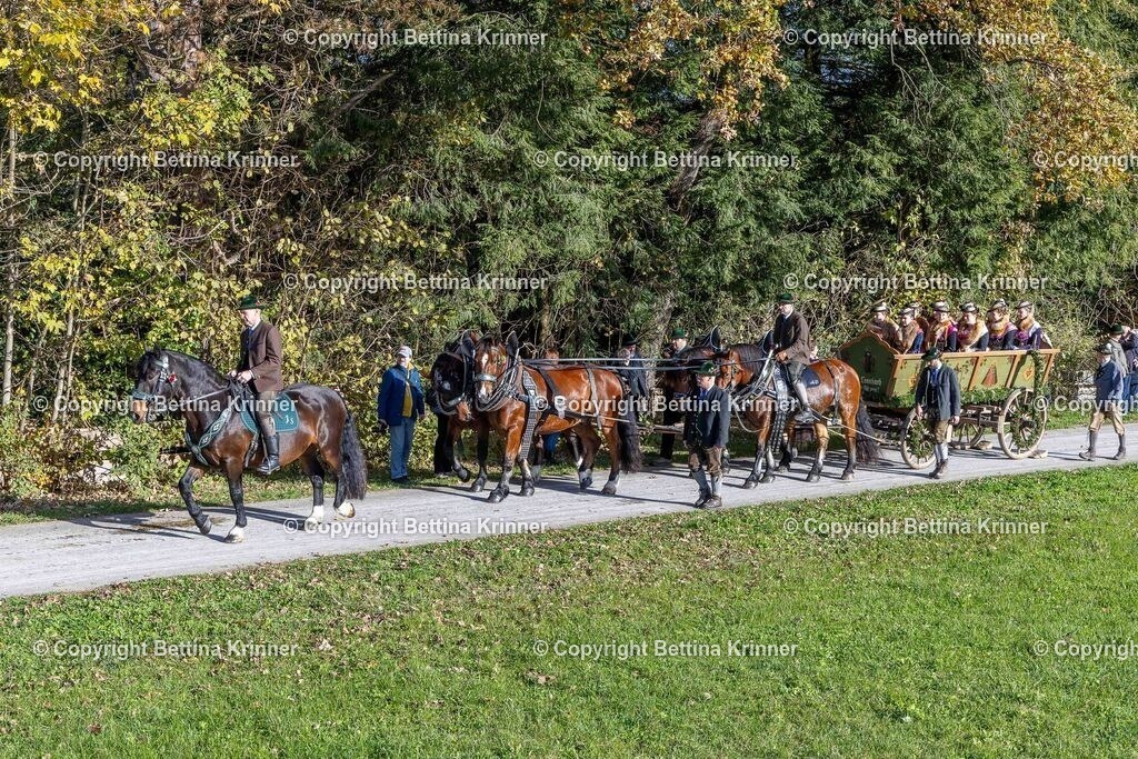 LBT24-748 | foto-bettina-krinner - Realisiert mit Pictrs.com