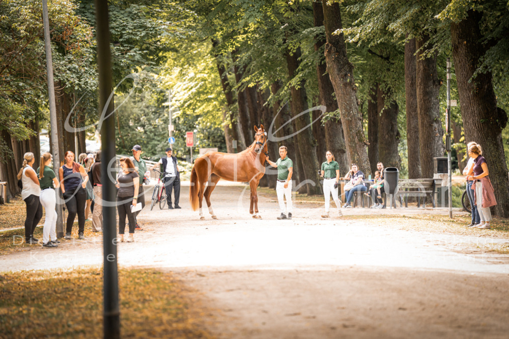 FrPfM00066 | Leoni Ertmer Photography - Realisiert mit Pictrs.com