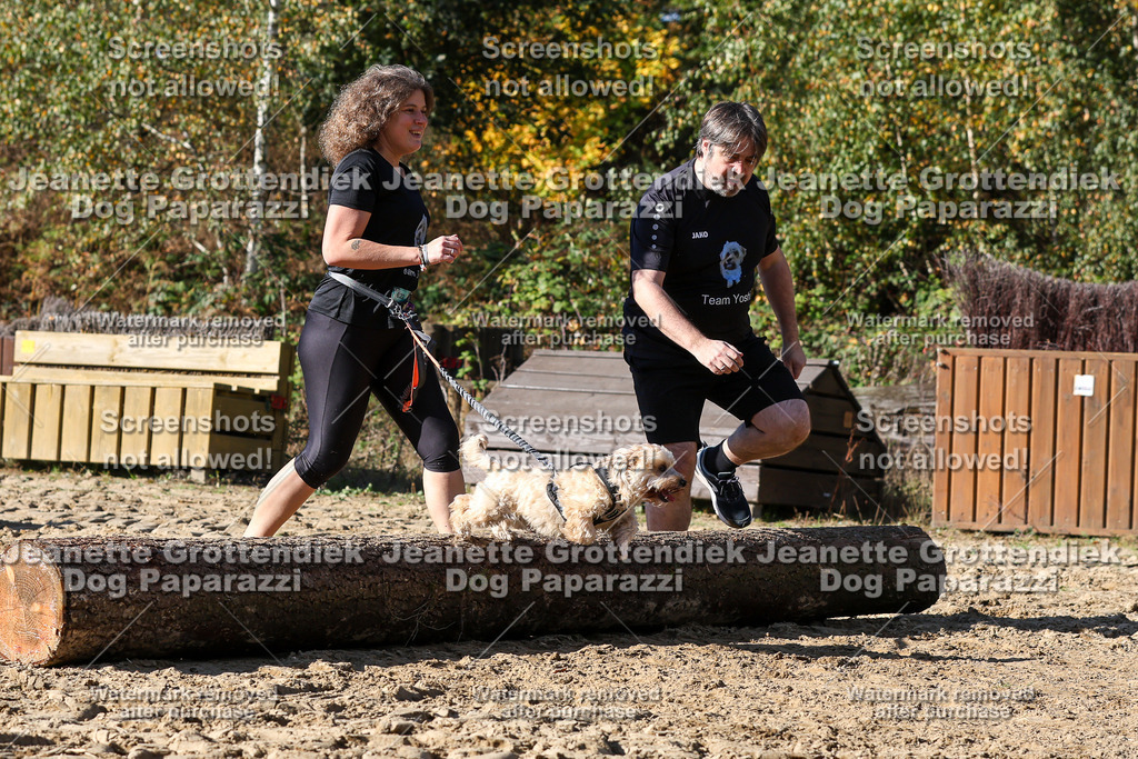 Dog Paparazzi - Strongdog 10-25-4708 | Dog Paparazzi Jeanette Grottendiek Fotografie & Videografie - Realisiert mit Pictrs.com