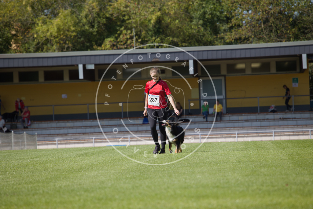 0L8A2566 | Hundefotografie, Tierfotograf, Pfotenfotografie, Fotoshooting Hund, Hunde Portrait, Hundesport, Hundeportraits, Heideshooting, Hunde, Sportfotograf, Hundefotograf, Turnierhundsport, THS,  - Realisiert mit Pictrs.com
