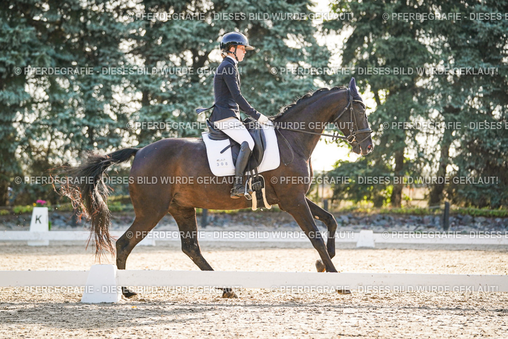 DSC08217 | Pferdegrafie