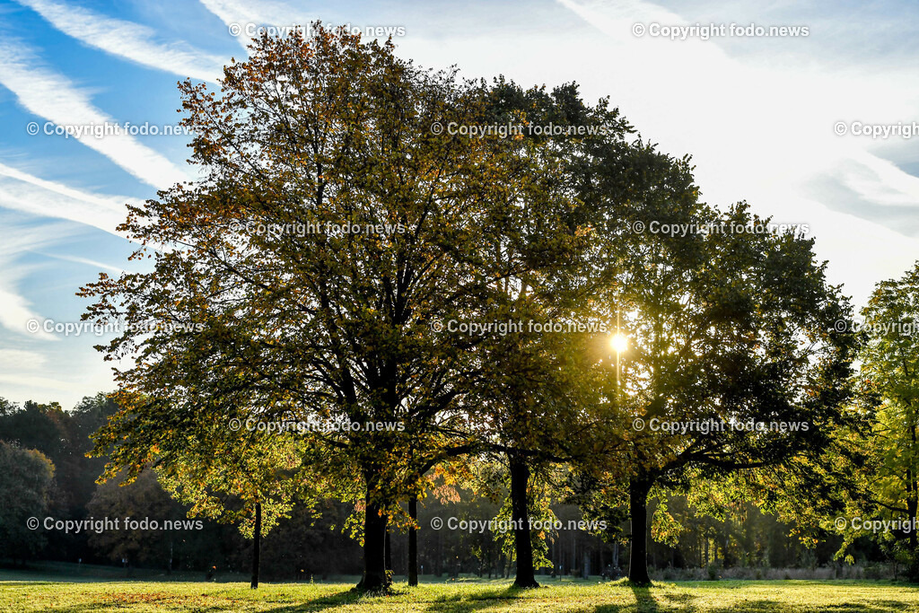 Herbst_ 09.10.2022-5 | 09.10.2022, Linz, AUT, Herbststimmung im Wasserwald Linz, im Bild Herbst, Baueme, Sonne, Jahreszeit