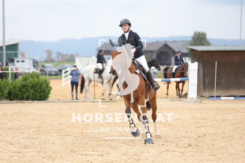 0P6A2511 | Willkommen bei Brunnmayr - Design & Fotografie – Ihrem Spezialisten für Reitturniere und Pferdeveranstaltungen in Oberösterreich, Salzburg und Bayern! Seit über 17 Jahren sind wir leidenschaftlich dabei.