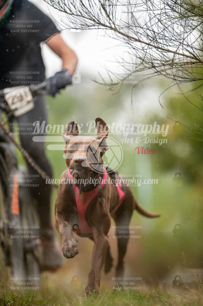 TSB_2023_E5_Bike-31 | PayLife