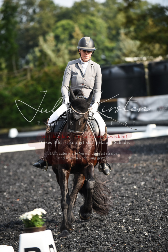 DSC_3318 | Pferde- und Turnierfotografie in Westsachsen. Pferdeportraits, Auftragszeichnungen und intuitive Kunst.