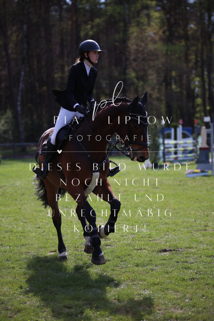 IMGT5889 | pl-fotografie