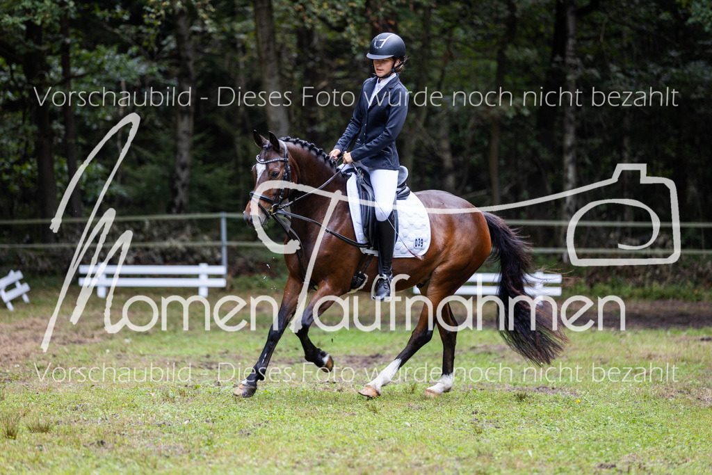 HB-Dressur-WB-013 | MomenTaufnahmen Pferdesportfotos