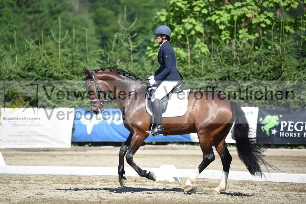 DSC_7772 | equestrian-live-com