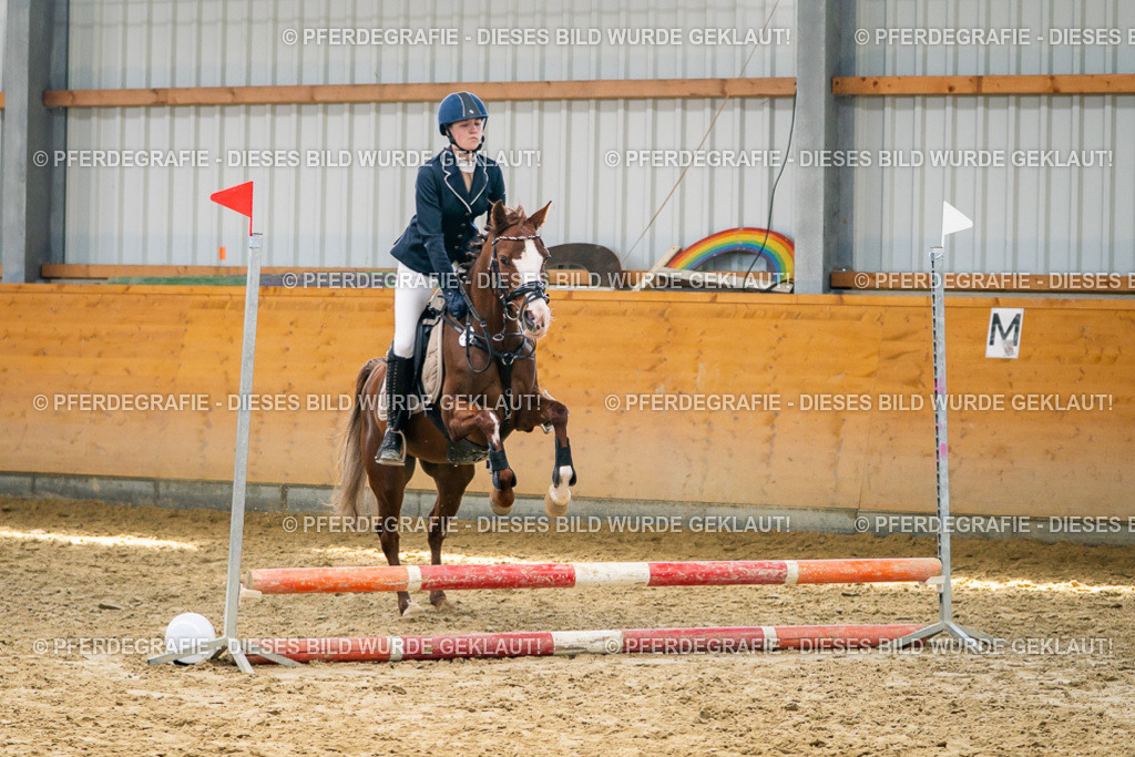 DSC02053 | Pferdegrafie