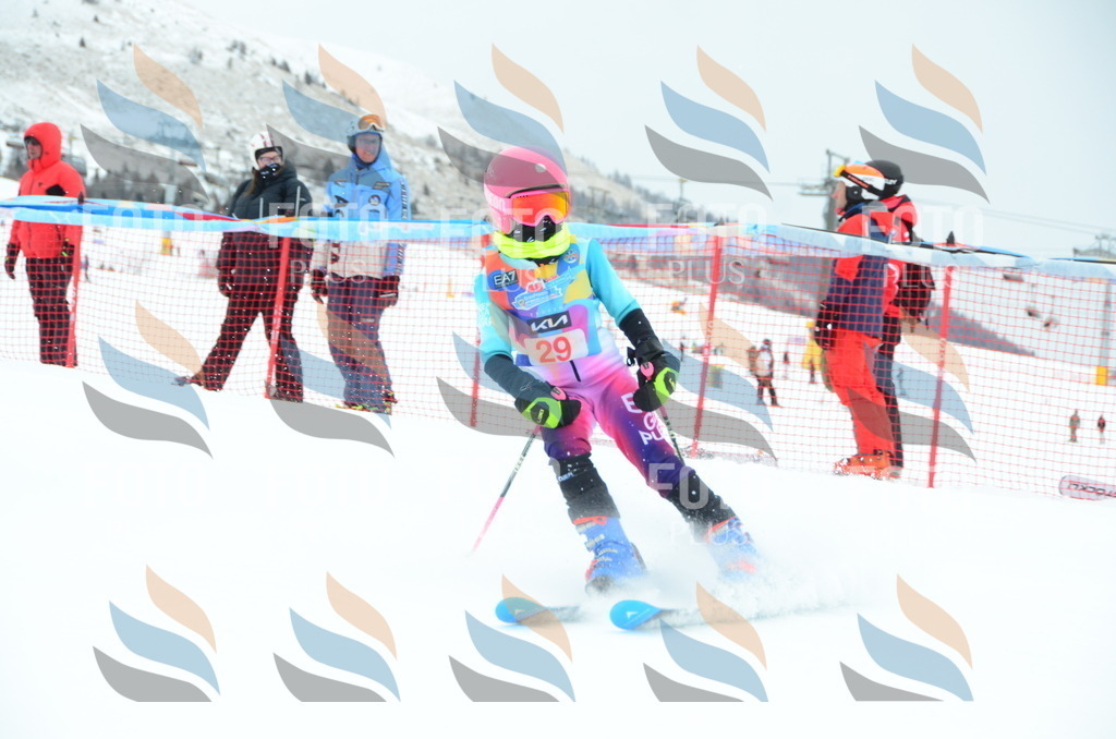 DSC_0817 | holidayphoto