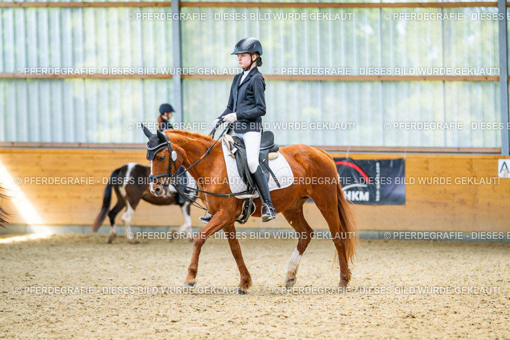 DSC03584 | Pferdegrafie