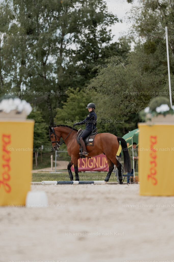 WE_ST_Stoib_335_PI2025_1024 | Pferd International München 2025