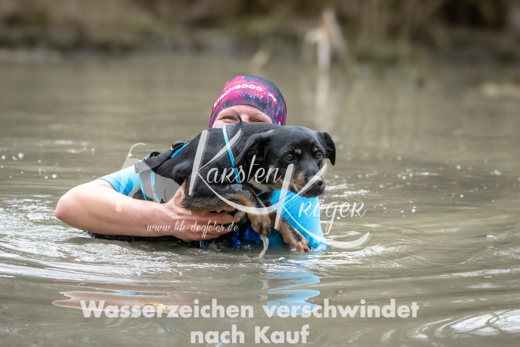 1123_ZZ99243 | kk-dogfotos